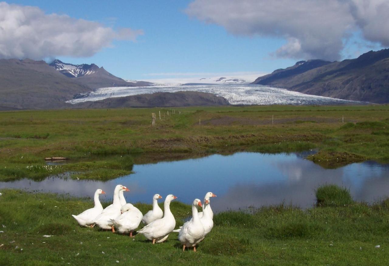 Lambhus Glacier View Cabins Höfn Esterno foto